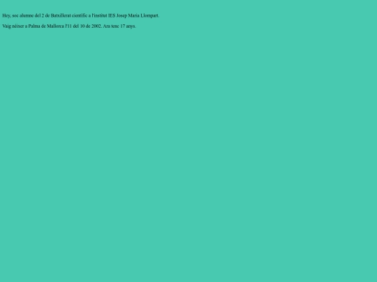 sobremi screenshot