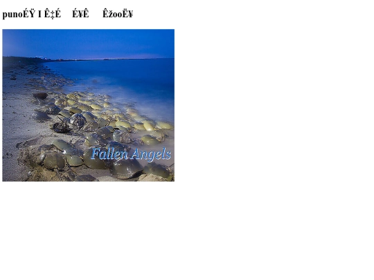 secondpage screenshot