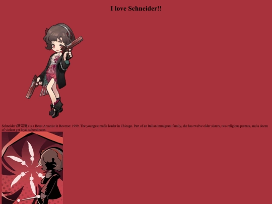 schneider screenshot