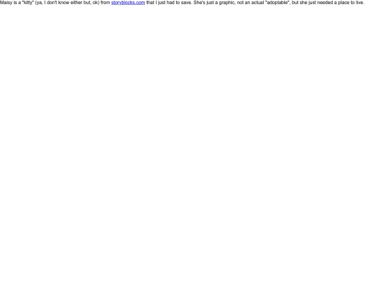 storyblock screenshot