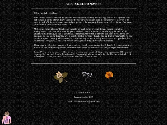 sidebar/about screenshot