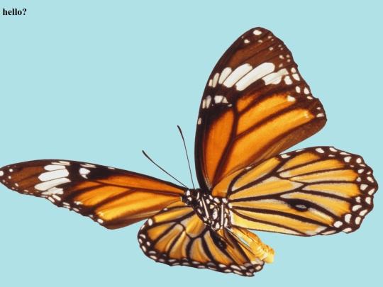 imagemap screenshot