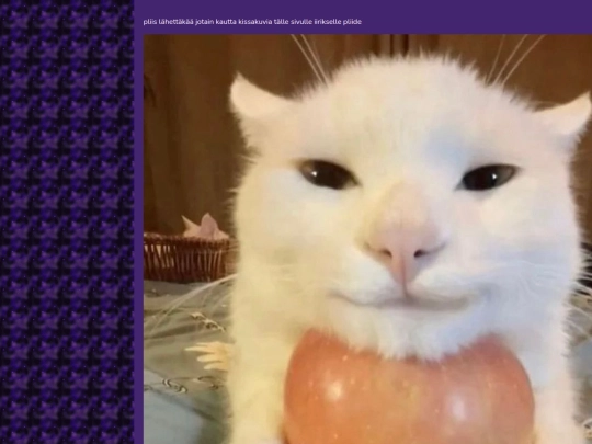 kissa screenshot