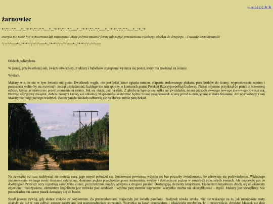 zarnowiec screenshot