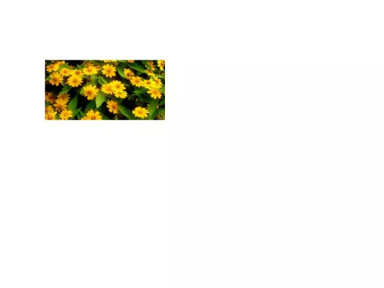 brightwarm1 screenshot