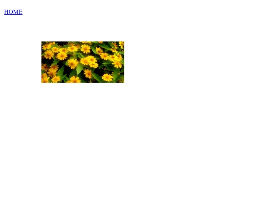 sunnyflower screenshot