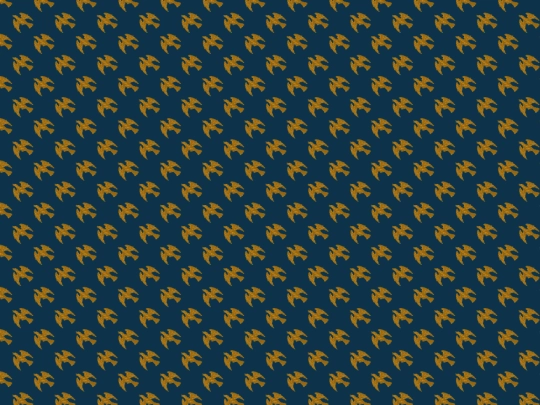 now screenshot