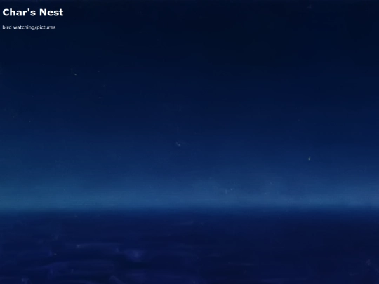 CharsNest screenshot