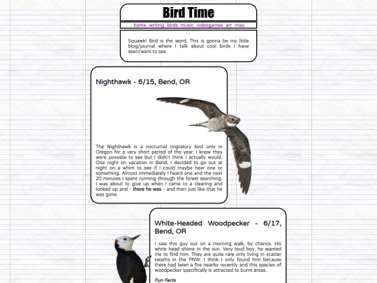 birds screenshot