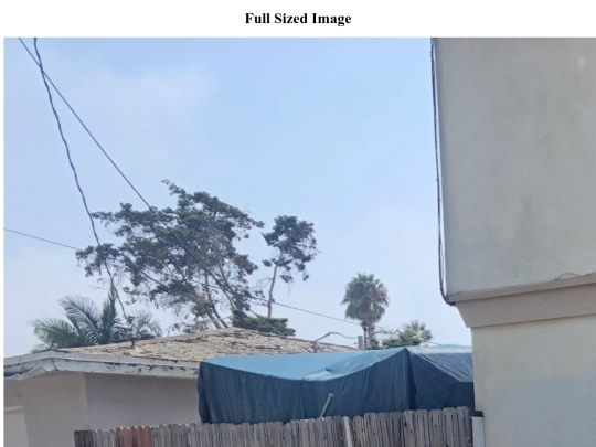 mustang_4.1/mustang/the_crew/koan_and_sage_full screenshot
