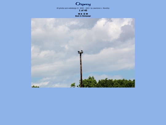 photogallery/animals/osprey screenshot
