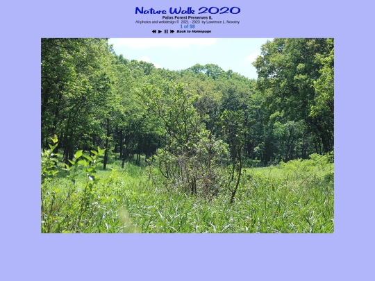 photogallery/outdoors/naturewalk2020 screenshot