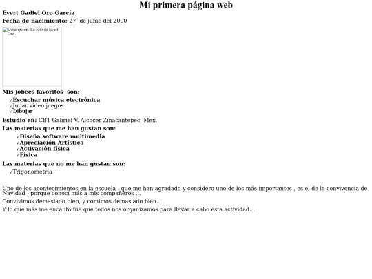 evert gadiel oro garcia  screenshot
