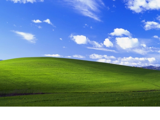 dank/virusbuddy screenshot