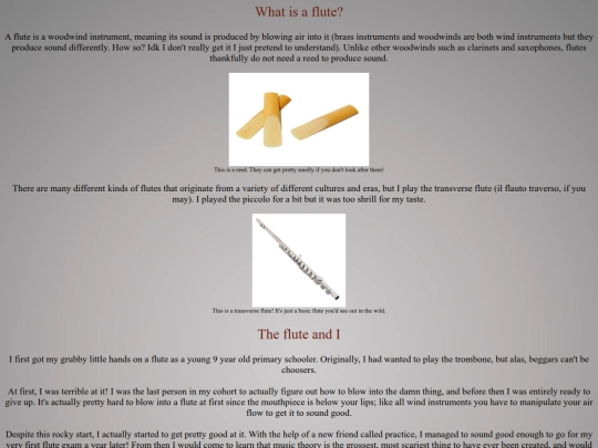 music/flute screenshot