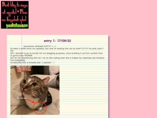 blog screenshot