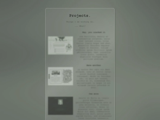 projects screenshot