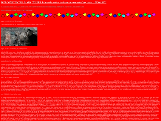 visit my diary! screenshot
