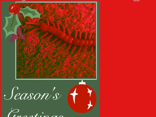 holiday screenshot