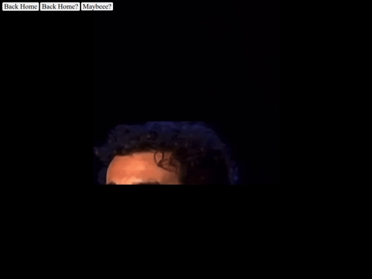 old_versions/version1/serj screenshot