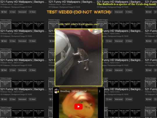Site screenshot