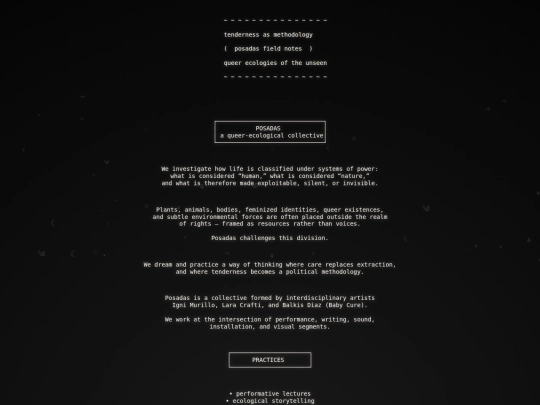 posadascollective screenshot