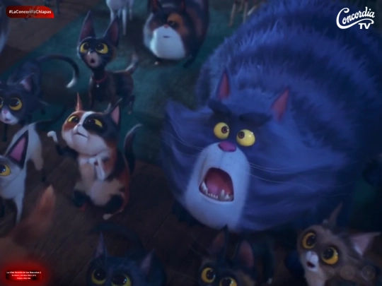 concordiatvs screenshot
