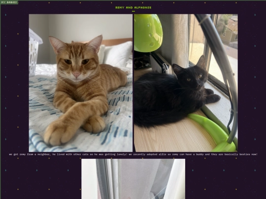 gallery screenshot