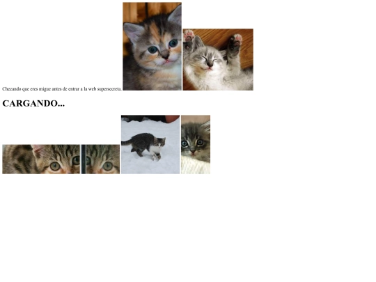 pcientifico screenshot