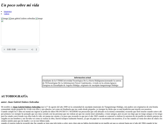proyecto web/autobiografia screenshot
