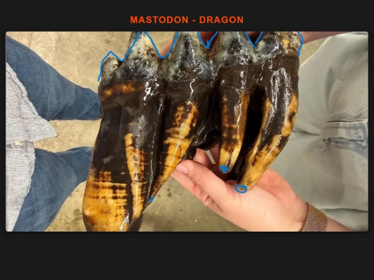 MASTODONDRAGON screenshot
