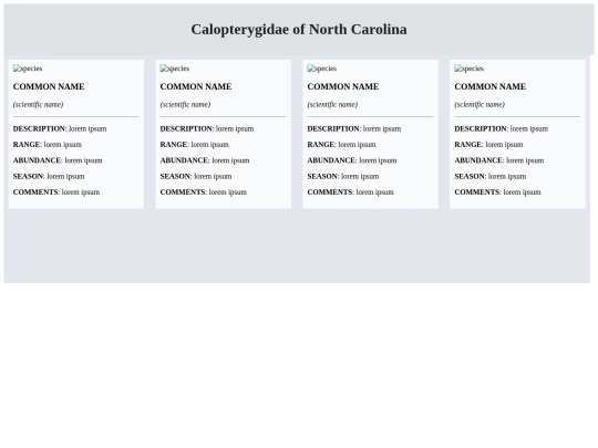 CALOPTERYGIDAE screenshot