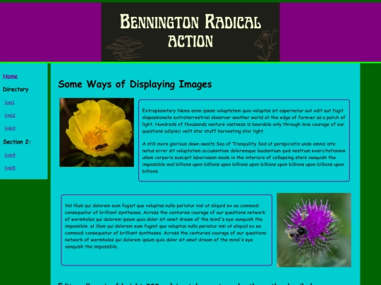 link2 screenshot
