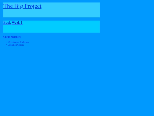 bigproject1 screenshot
