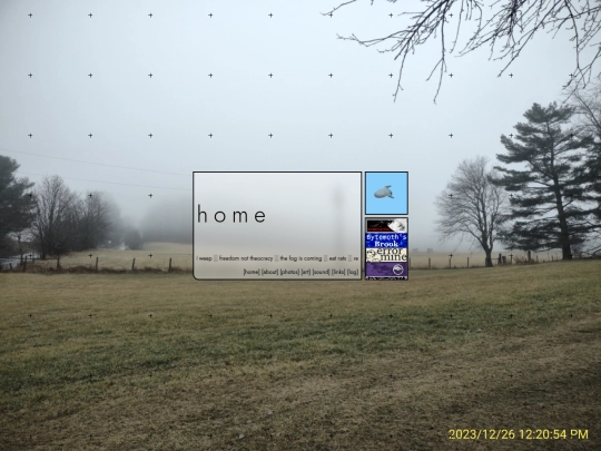 home screenshot