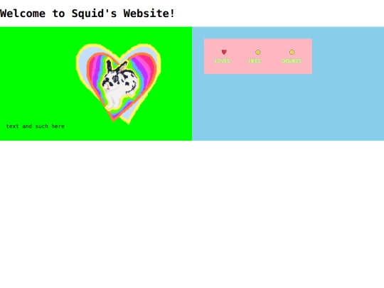 squid screenshot