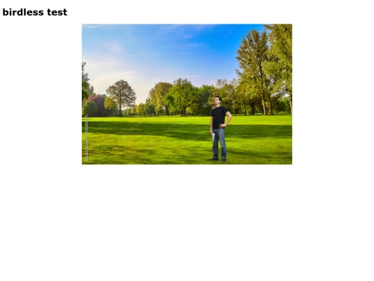 test screenshot