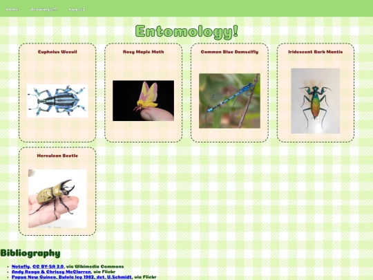 bugs screenshot