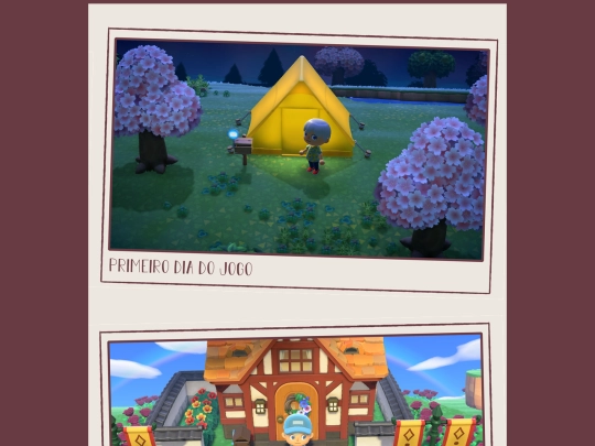 projects/files/quarentena/galeriaacnh screenshot