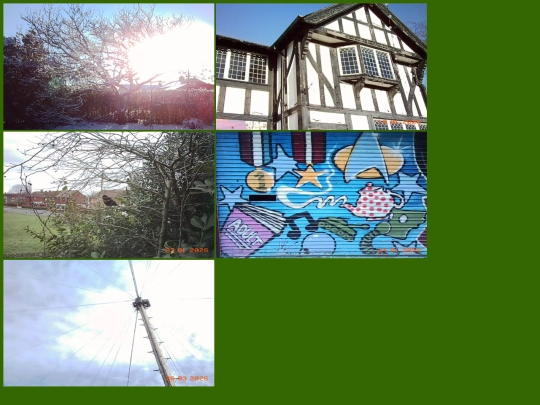 photos screenshot