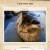Cats every day avatar