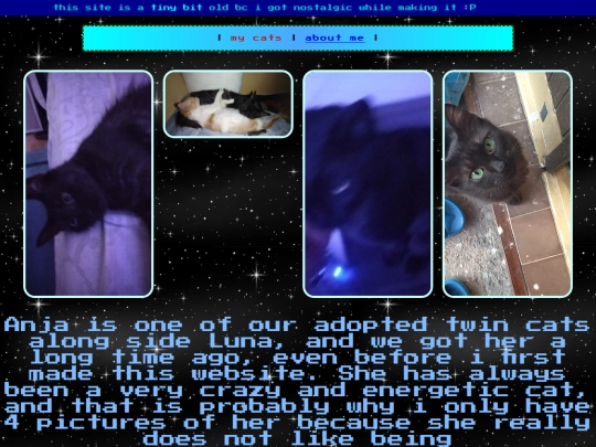 Anja screenshot