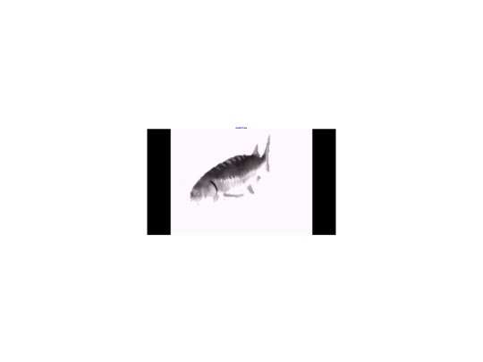 fish screenshot