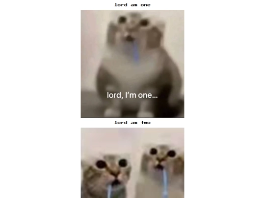 lordamcat screenshot