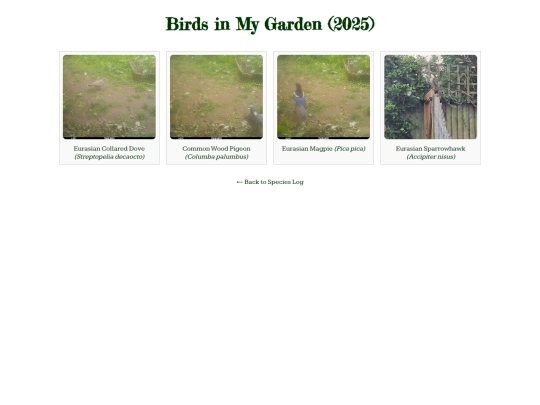 birds screenshot