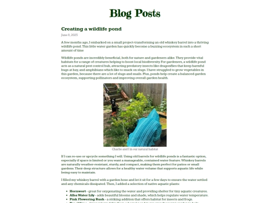 blog screenshot