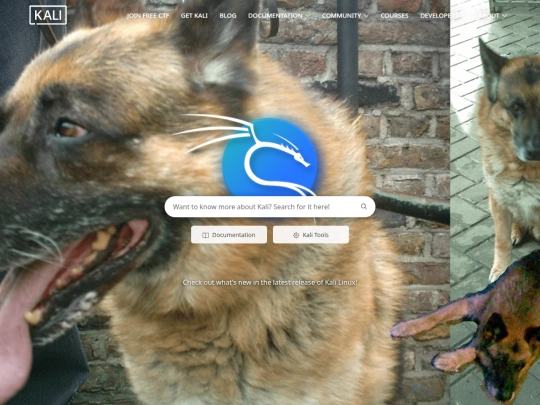 V2/kali screenshot