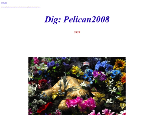 DigPelican2008 screenshot