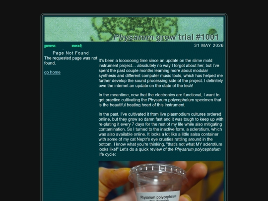 blog/31-MAY-2026 screenshot