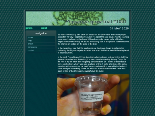 personal-blog-31-05-2026 screenshot